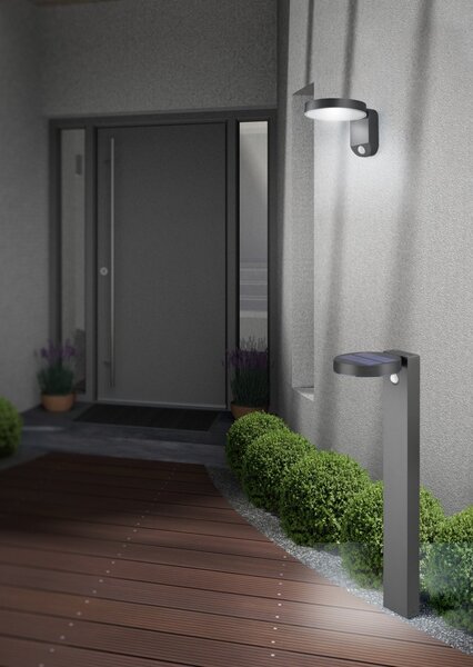 Trio R22251142 LED zahradní nástěnné solární svítidlo se senzorem Posadas 1x4,5W | 290lm | 3000K | IP44 - s pohybovým čidlem