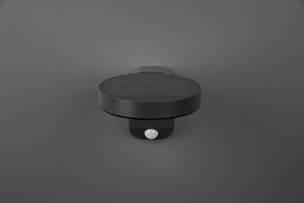 Trio R22251142 LED zahradní nástěnné solární svítidlo se senzorem Posadas 1x4,5W | 290lm | 3000K | IP44 - s pohybovým čidlem