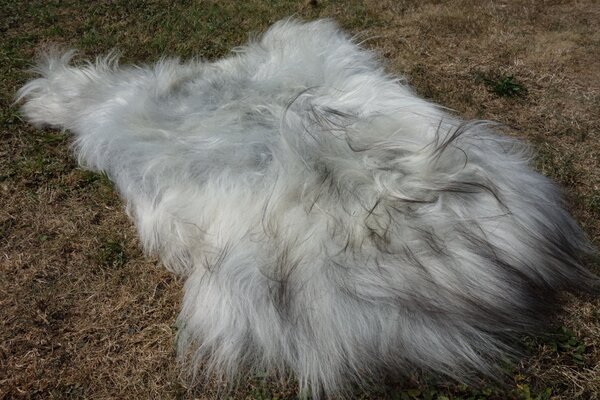 ARCTIC FUR Designová ovčí předložka přírodní šedá nebarvená