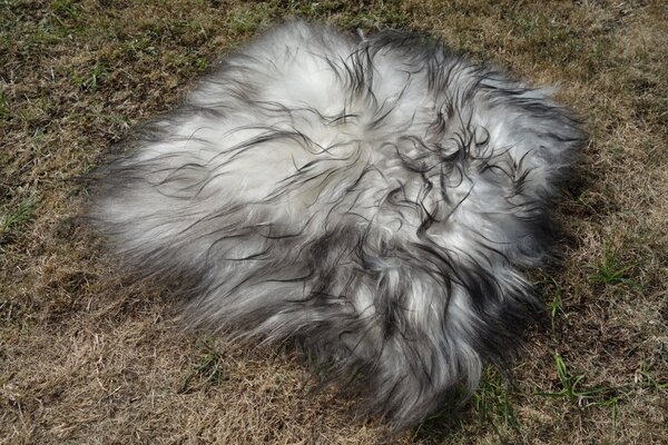 ARCTIC FUR Sedák z islandské ovčí kožešiny