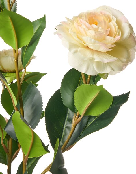 Umělá rostlina CAMELLIA 60 cm Zelená