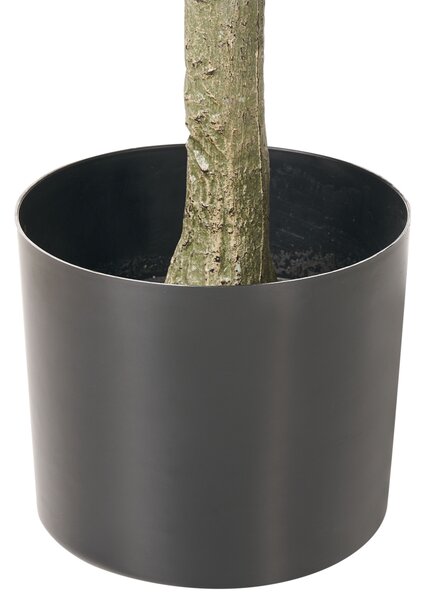 Umělá rostlina FICUS TREE 160 cm Zelená