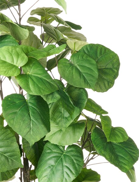 Umělá rostlina FICUS TREE 160 cm Zelená