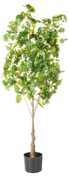 Umělá rostlina GINKGO TREE 150 cm Zelená