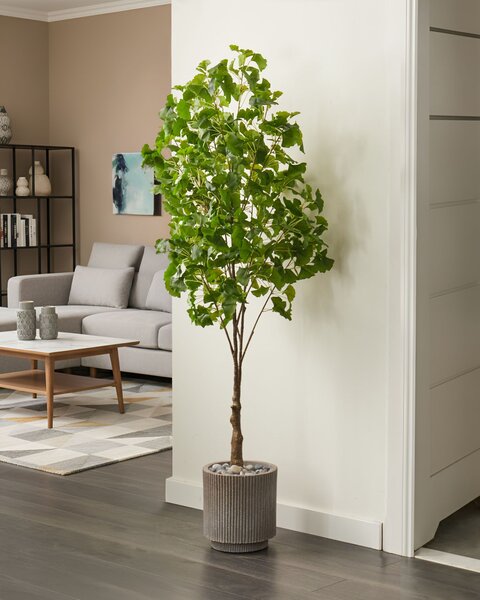 Umělá rostlina GINKGO TREE 150 cm Zelená