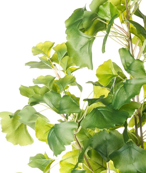 Umělá rostlina GINKGO TREE 150 cm Zelená
