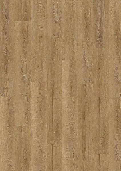 Lepená vinylová podlaha Mercury Bavarian Oak Honey 0,55mm - 22,86 x 142,24 cm