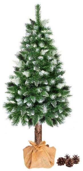 Vánoční stromek Borovice zasněžená na kmínku 160 cm