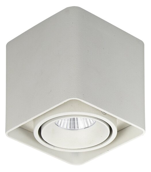 Italux SLC78004/10W WH ITALUX LED přisazené stropní bodové svítidlo Bonnie 1x10W | 840lm | 3000K | IP20 - bílá