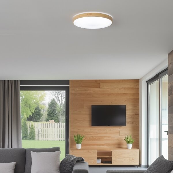 Brilagi - LED Stmívatelné stropní svítidlo PINE LED/24W/230V + dálkové ovládání