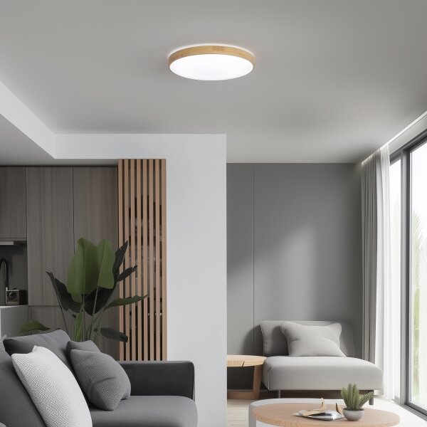 Brilagi - LED Stmívatelné stropní svítidlo PINE LED/24W/230V + dálkové ovládání