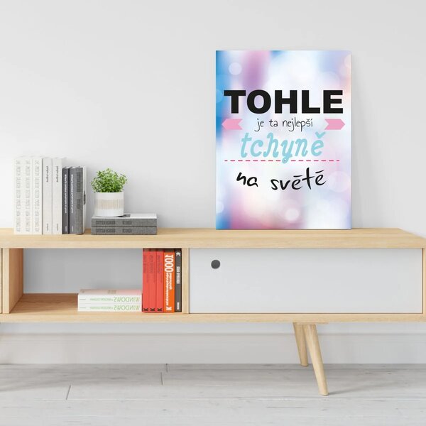 Sablio Dárková cedulka Tohle je ta nejlepší tchyně na světě: 30x40 cm