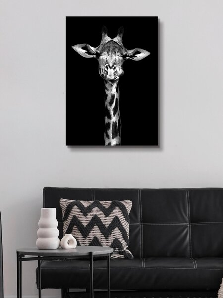 TIŠTĚNÉ OBRAZY NA PLÁTNĚ, zvířata, 50/70 cm Monee - Umělecký tisk