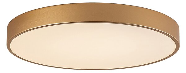 Italux 5361-860RC-GD-3 LED Orbital | 60W integrovaný LED zdroj | 3600lm | 3000K