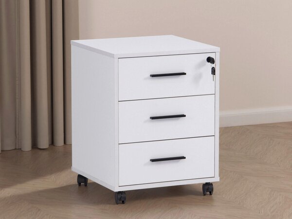 POJÍZDNÝ KONTEJNER, 43/56/42 cm Carryhome