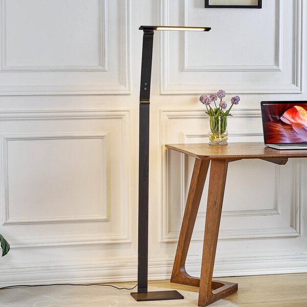 Lucande Stmívací stojací lampa Salome, variabilní světlo, stmívatelný, Černá, Pracovna / kancelář, Hliník, Moderní, Lampička na čtení