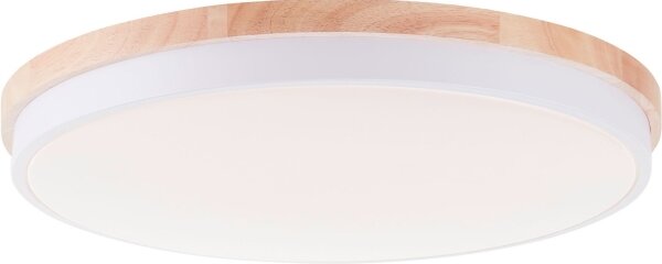 Brilliant - LED Stm stropní svítidlo BAARLO LED/36W/230V pr. 50 cm bílá + DO