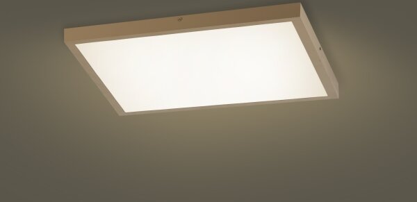 Brilagi -LED Stmív. koupelnové svítidlo FRAME SMART LED/50W/230V 60x60 IP44 + DO