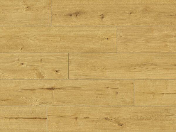 Lepená vinylová podlaha Classen Dryback Nuva Eternal - Vibrant Oak Brown