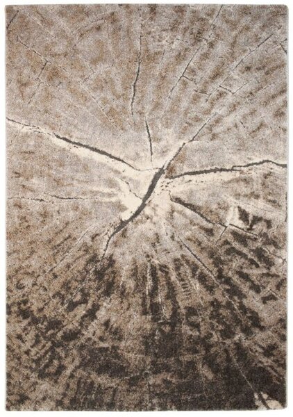 Vopi | Kusový koberec Malaga K11546-01 beige grey - 120 x 170 cm