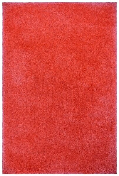 Hans Home | Kusový koberec Carnival 590 CORAL, červená
