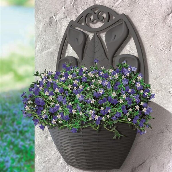 BAMA Závěsný květináč GERLA, antracit, průměr 32 cm