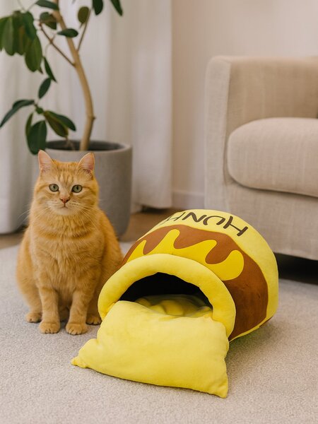 Sinsay - Pelíšek pro kočku - žlutá