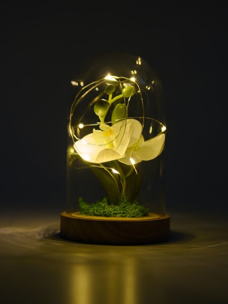 Sinsay - Dekorační LED lampa s květinou ve skleněném krytu - bílá