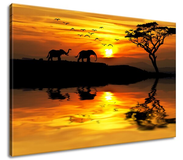 Obraz na plátně Afrika Rozměry: 100 x 70 cm