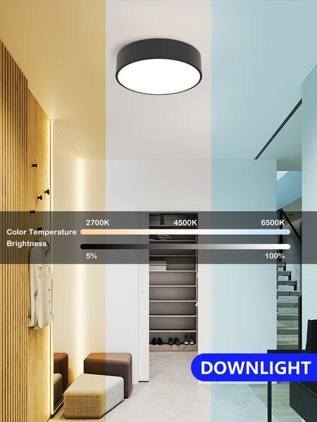 Immax NEO RONDATE SLIM Smart stropní svítidlo 25 x 7cm 18W černé Zigbee 3.0
