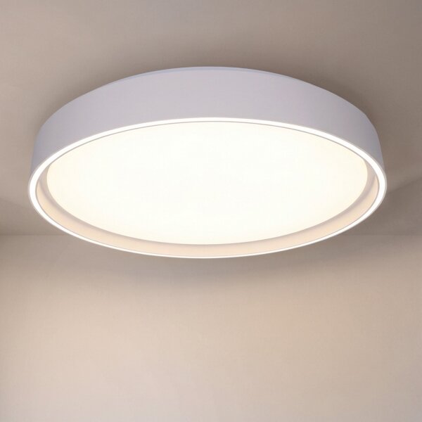 Brilagi-LED Stmív. svítidlo NANCI LED/60W/230V 3000-6500K pr. 49 cm bílá +DO