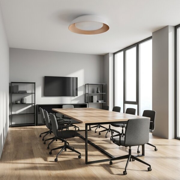 Brilagi -LED Stmívatelné svítidlo ALVA LED/48W/230V 3000-6500K pr. 51 cm bílá+DO