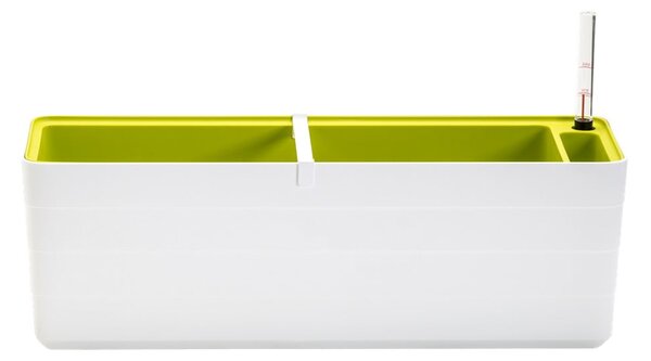 Bílo-zelený samozavlažovací truhlík, délka 59 cm Berberis - Plastia