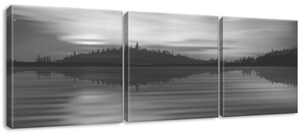 Obraz na plátně Noční pohled - 3 dílný Rozměry: 90 x 30 cm