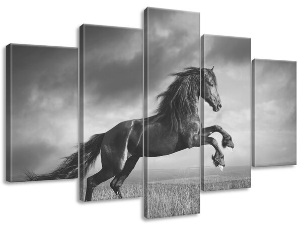 Obraz na plátně Tajemný černý kůň - 5 dílný Velikost: 100 x 63 cm