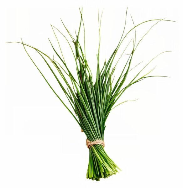 Aromatický polštář Lemongrass 50x70 cm EMI
