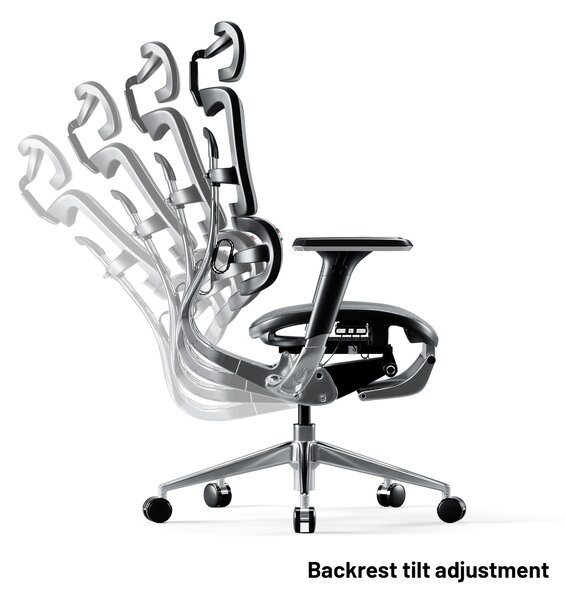 Ergonomická židle DIABLO V-MASTER: černo-šedá