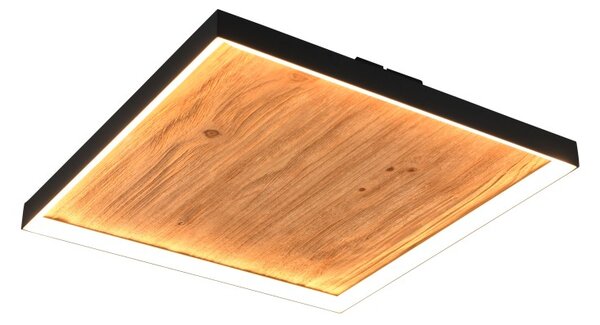 Trio 655510130 LED přisazené stropní svítidlo KALEA | 41W integrovaný LED zdroj | 4800lm | 3000K | Trio - SwitchDimmer