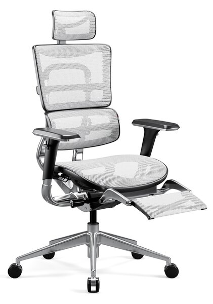 Ergonomické křeslo Diablo V-Master: černo bílá