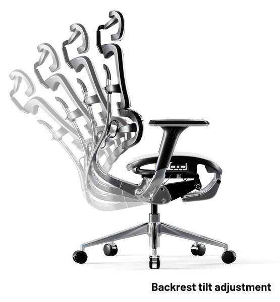 Ergonomické křeslo Diablo V-Master: černo bílá
