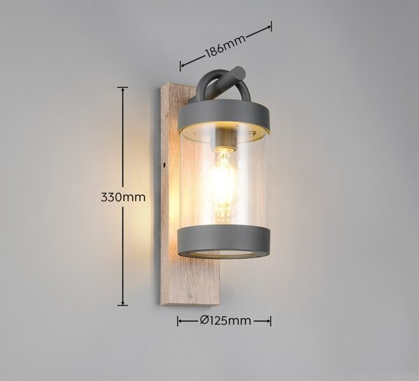Trio T204160135 venkovní nástěnné svítidlo SAMBESI E27