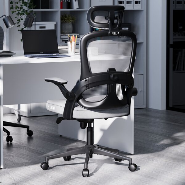 Ergonomická kancelářská židle Diablo V-Light: šedá