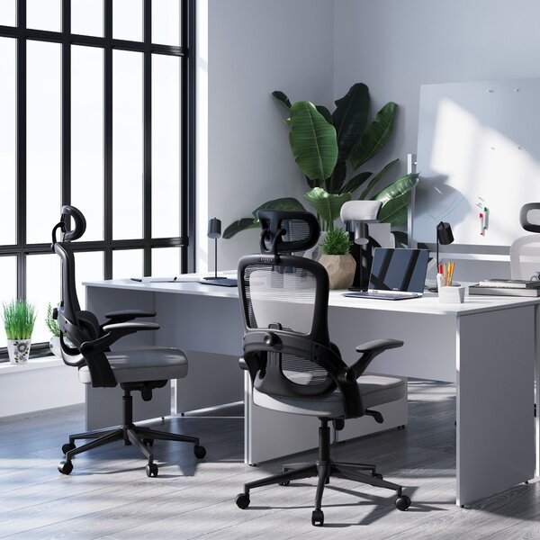 Ergonomická kancelářská židle Diablo V-Light: šedá
