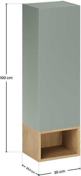 Sada skříňka Comad Aster Green ASTER GREEN 80-30-1D, regál Comad Dalia Cashmere CREMONA UN 83-30-20