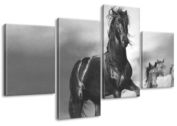 Gario 4 dílný obraz na plátně Pozorný černý kůň Velikost: 120 x 70 cm