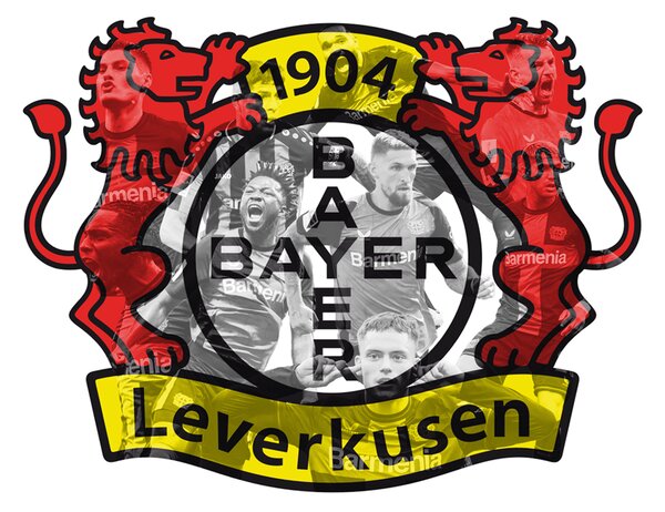 Svítící obraz obraz Bayeru 04 Leverkusen