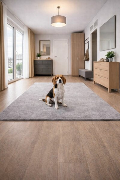 Vopi, Kusový koberec Eton šedý 73, 57x120, šedá, chodba / předsíň
