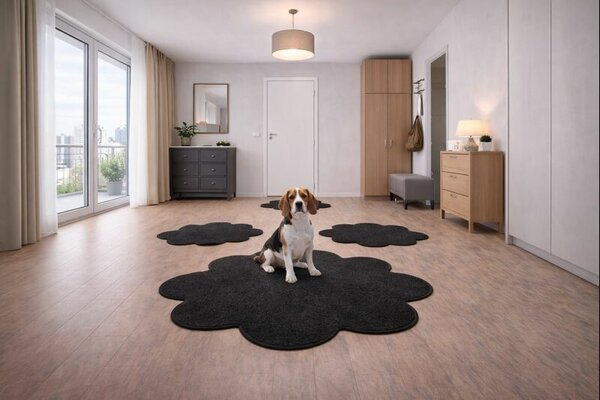 Vopi, Kusový koberec Eton černý květina, 120x120 kytka, černá, ložnice
