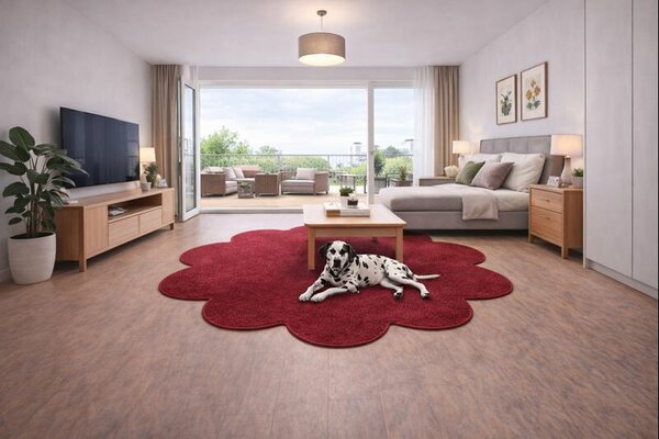 Vopi, Kusový koberec Eton vínově červený květina, 120x120 kytka, červená, ložnice