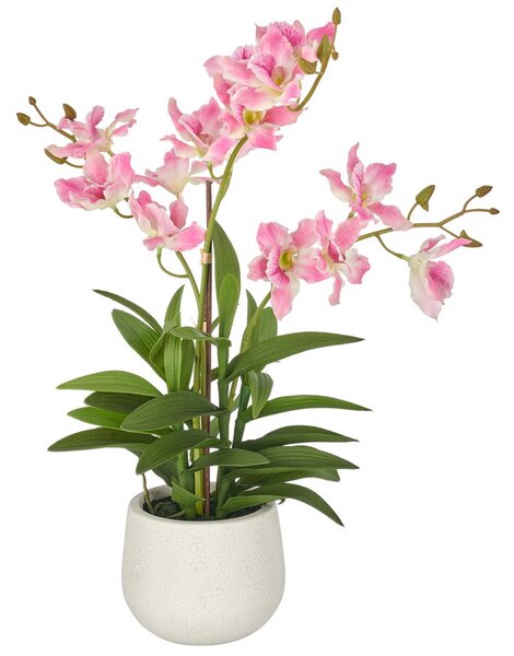 Dendrobie růžová v květináči, 55cm (Umělá květina)